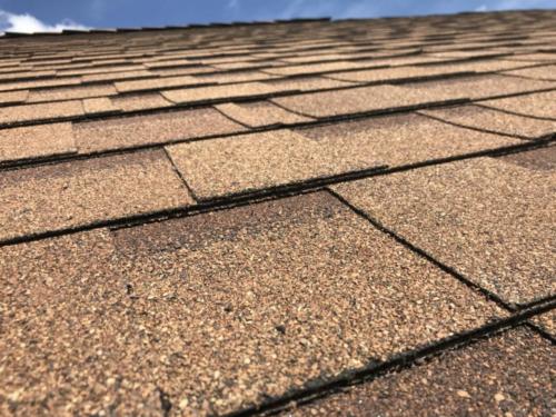 OAKRIDGE®︎SUPER.1